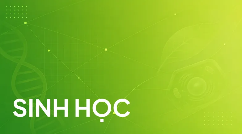 Bộ đề thi Môn Sinh học